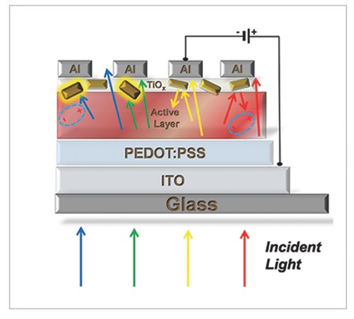 Plasmonic backscattering in organic photovoltaics